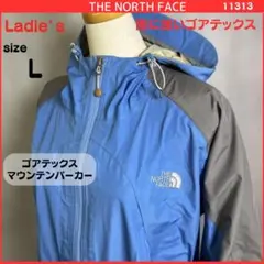 格安☆ノースフェイス　ゴアテックス　 マウンテンパーカー Lサイズ　313