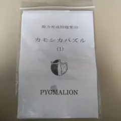 FROM→様 リクエスト 3点 まとめ商品