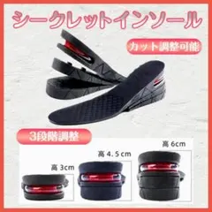 シークレット インソール フリーサイズ男女兼用 中敷き 調整可能 3段階調整