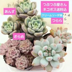 クリームソーダ様 リクエスト 2点 まとめ商品