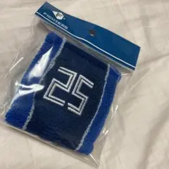北海道日本ハムファイターズ　宮西尚生 25 リストバンド