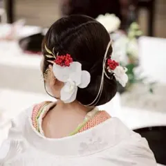胡蝶蘭 赤い実 水引 髪飾り 成人式 結婚式 和装