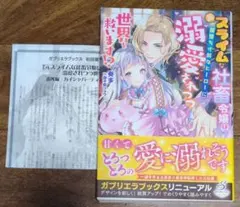 《ガブリエラブックス・小説》元スライムな社畜令嬢は闇堕ち寸前なヒーローに溺愛さ…