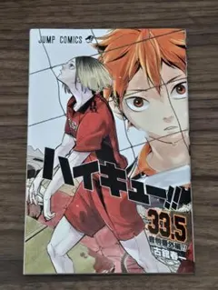 ハイキュー 33.5巻 ゴミ捨て場の決戦 特典 非売品 - メルカリ