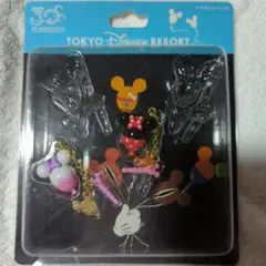 ディズニーリゾートイヤホンジャック