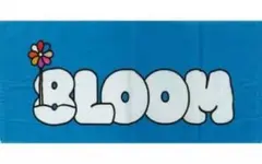 Item thumbnail for item 11d2f225-a834-469f-a25f-8194f2a5ce35