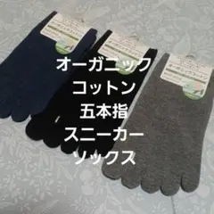 ３足組♪オーガニックコットン　 五本指スニーカーソックス(23～25)