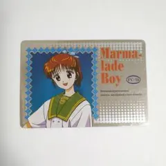 【フルコンプ】ママレードボーイ パート2 カードダス アマダ フルコンプ】ママレードボーイ パート2 カードダス アマダ