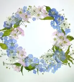 Item thumbnail for item 62469f56-96cf-4364-b28d-be66f5df25d2