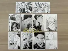 【新品】ハイキュー!! 10thクロニクル フォトカード 烏野高校 10枚