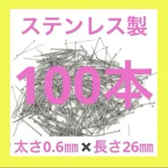 [218] 스테인리스 스틸 곤충 핀 약 100개 (핀, 압핀, 실크핀, 푸쉬 핀)
