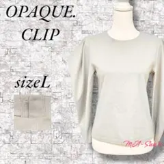 [訳あり] オペークドットクリップ トップス カットソー Tシャツ ボタン付き