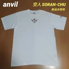 ✳️新品未使用 【anvil 沖縄観光 空人SORAN-CHU】T シャツ M