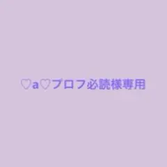 ♡a♡プロフ必読様専用ページ