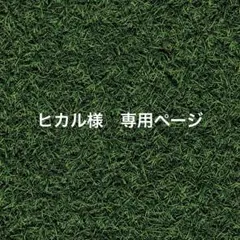 ヒカル様 専用ページをお作りしました