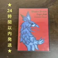 Blankey Jet City Angel Fish 浅井健一 DVD