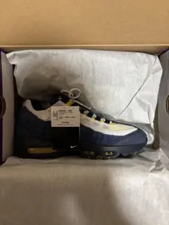 sb air max 95 eric koston