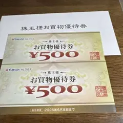 YAMADA HLDGS. お買物優待券 500円✖️2枚　計1000円分