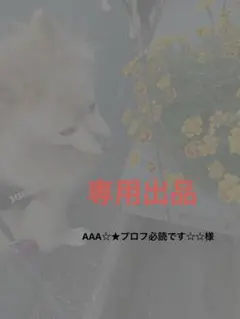 説明文、プロフィール必読さん専用 説明文、プロフィール必読さん専用 チコリ♡プロフ必読 様専用品