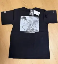 Age Factory iced logo Tシャツ XL - メルカリ