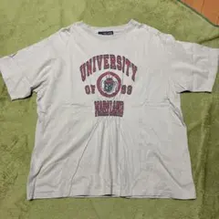 CUBE SUGAR カレッジロゴ Tシャツ