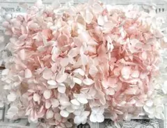 ゆーたん様 リクエスト 2点 まとめ商品