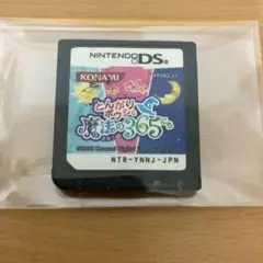 【新着】任天堂 Nintendo DS とんがりボウシとまほうの365にち