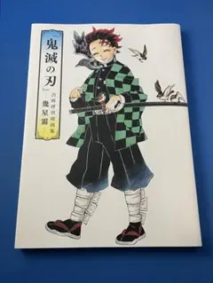 『鬼滅の刃』吾峠呼世晴画集―幾星霜―