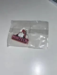 MINITEEN