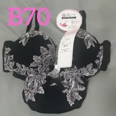 新品未使用 ブラパンツ セット B70