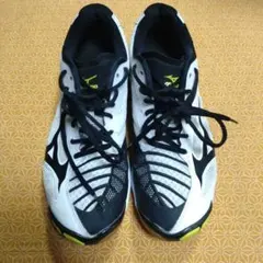 2026年最新】Mizuno wave lightning 27の人気アイテム - メルカリ
