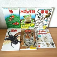 小学館の図鑑NEOポケット４冊　学研の図鑑LIVEポケット1冊　計5冊+おまけのサムネイル