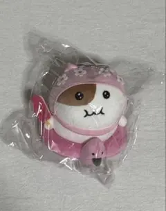 もちにゃみ サマーコレクション 日焼け スイム ぬいぐるみ マスコット
