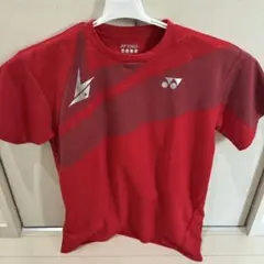 2026年最新】yonex リンダンの人気アイテム - メルカリ