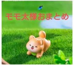 モモ太様おまとめ
