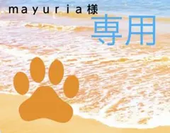 【 mayuria様 】 ヨハク マステ 346種類 約20cm