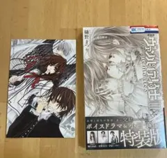 ヴァンパイア騎士 限定版 19巻 イラストレーションズ 特典 イラスト
