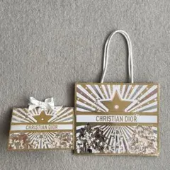 Christian Dior ディオール ショッパー 紙袋 ホリデー クリスマス