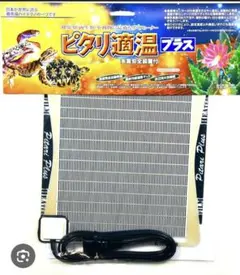 Item thumbnail for item 2b9e4a19-40eb-4dc6-8cee-10a6ffbe0f60