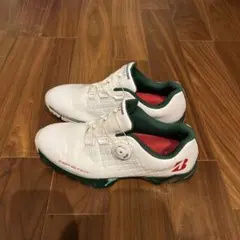 ゴルフシューズ 25.5