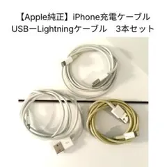 Apple 순정 iPhone 충전 케이블 USB-Lightning 3개 세트