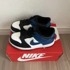 Nike DUNK LOW ダンクロー 15