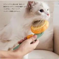 Item thumbnail for item 3b0c694f-1e57-49ed-8913-4429279b18cd