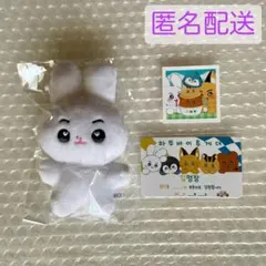 ☆*☆様 ジョンハン ぬいぐるみ 10cm 新品 マスター セブチ svt - メルカリ