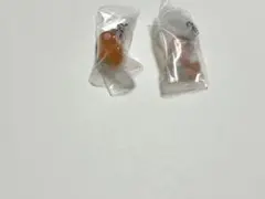 ざわざわ森のがんこちゃん めじるしアクセサリー　チョビ×2