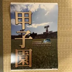 Item thumbnail for item 91d34751-c2f5-4b41-a0d6-bbf0b4cb0ae8