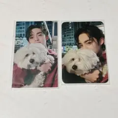 SEVENTEEN セブチ FML YES24 限定 トレカ エスクプス クマ