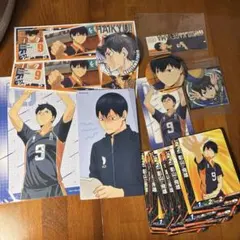 ハイキュー!! 影山飛雄　グッズまとめ　21点セット