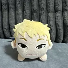 HOSHI PETITEEN ぬいぐるみ　SEVENTEEN