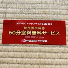 2025年最新】ビックエコー 福袋の人気アイテム - メルカリ